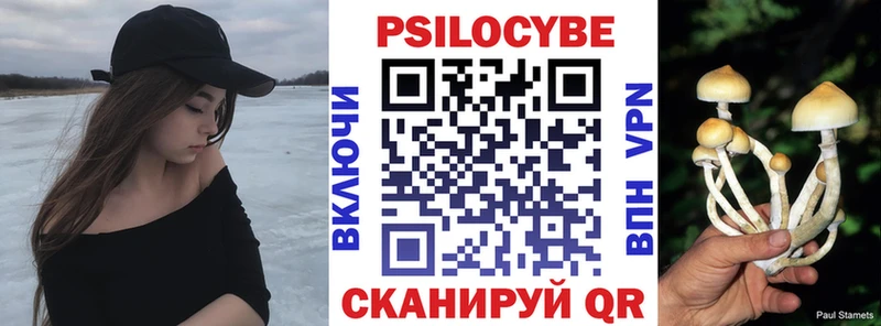 Псилоцибиновые грибы прущие грибы  kraken ССЫЛКА  Похвистнево 